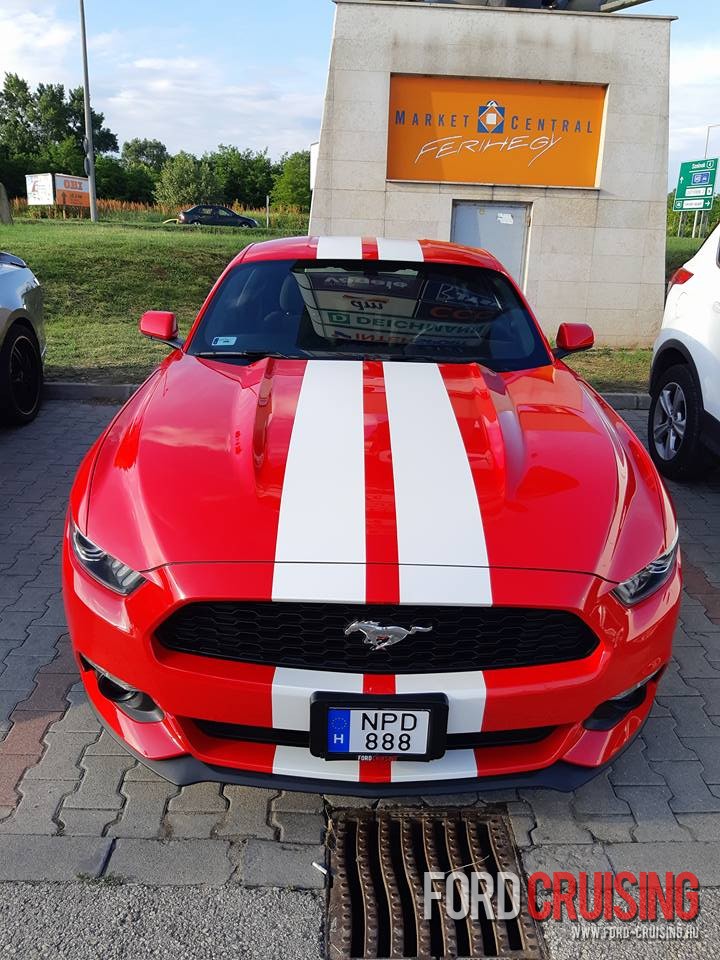 Kép