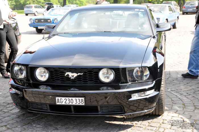Stang0001.jpg