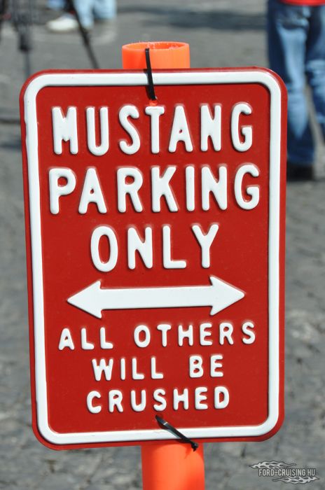Stang0010.jpg