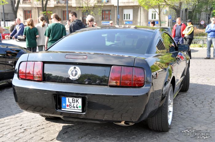 Stang0014.jpg
