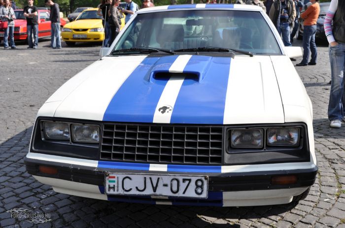 Stang0016.jpg
