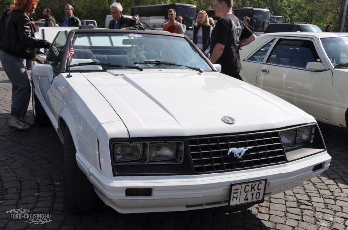 Stang0018.jpg
