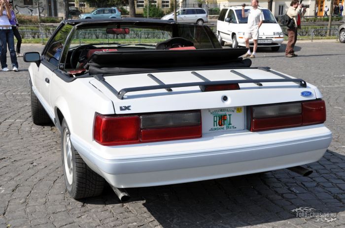 Stang0024.jpg