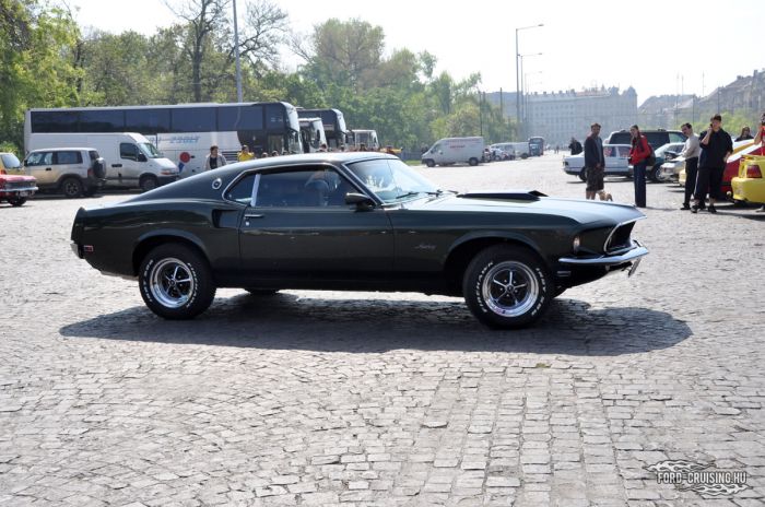 Stang0026.jpg
