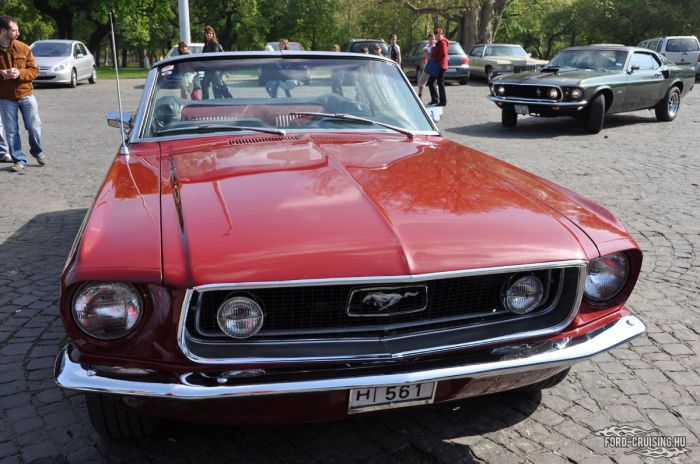 Stang0030.jpg
