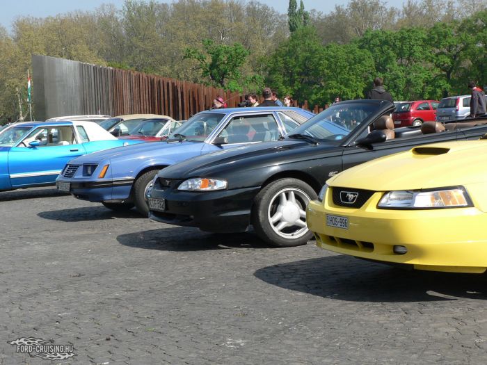 Stang0031.jpg