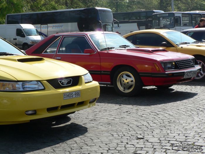 Stang0032.jpg