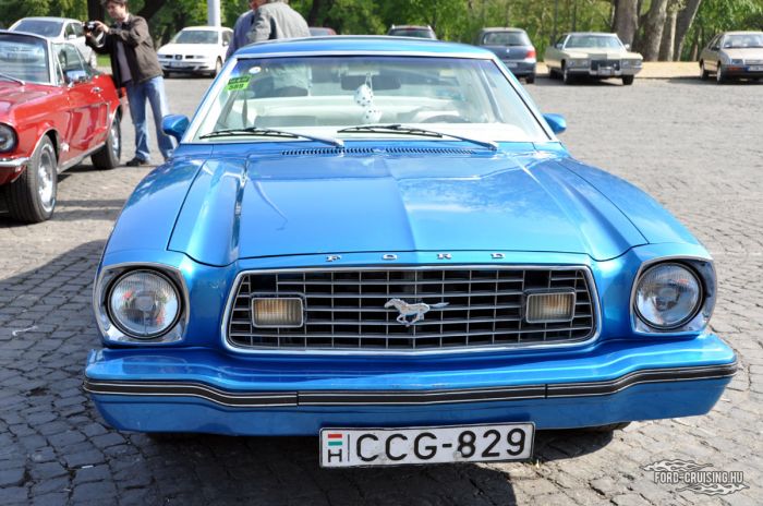 Stang0033.jpg