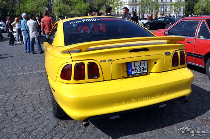 Stang0040.jpg
