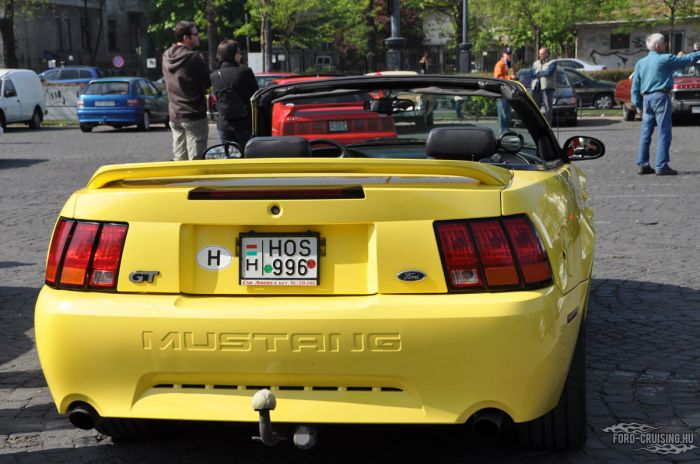 Stang0042.jpg
