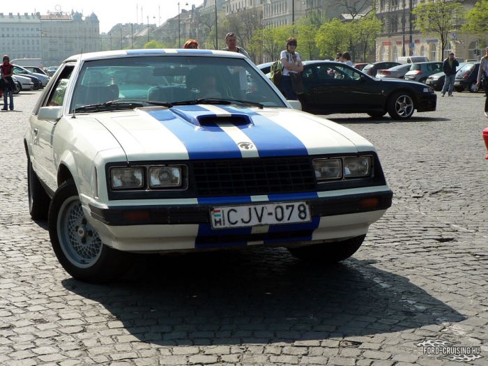 Stang0062.jpg