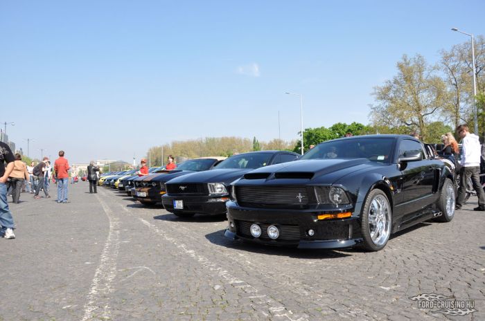 Stang0063.jpg
