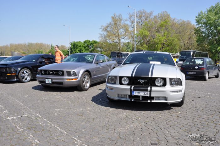 Stang0065.jpg