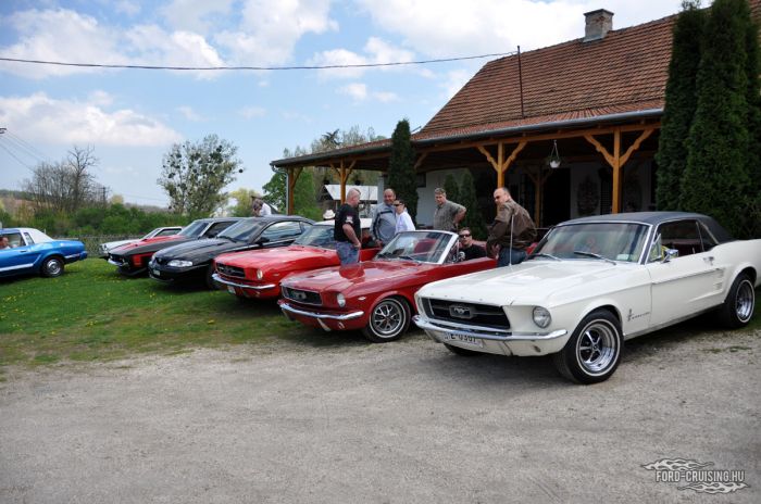 Stang0070.jpg