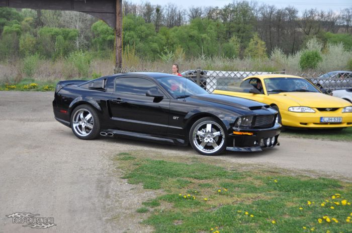 Stang0073.jpg