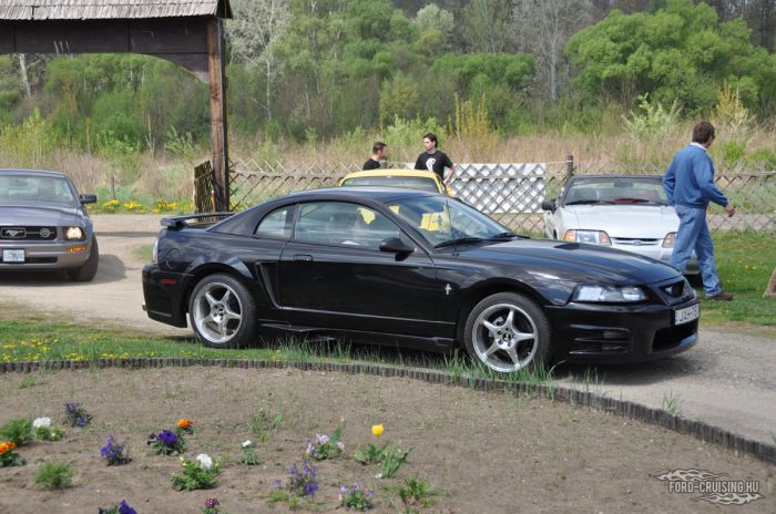 Stang0074.jpg