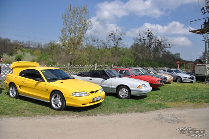 Stang0079.jpg