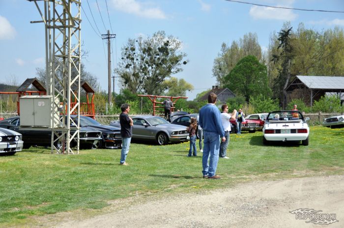 Stang0080.jpg