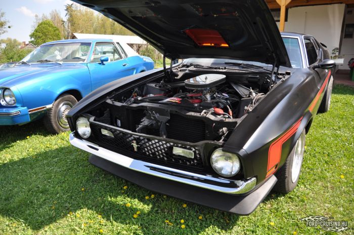 Stang0082.jpg