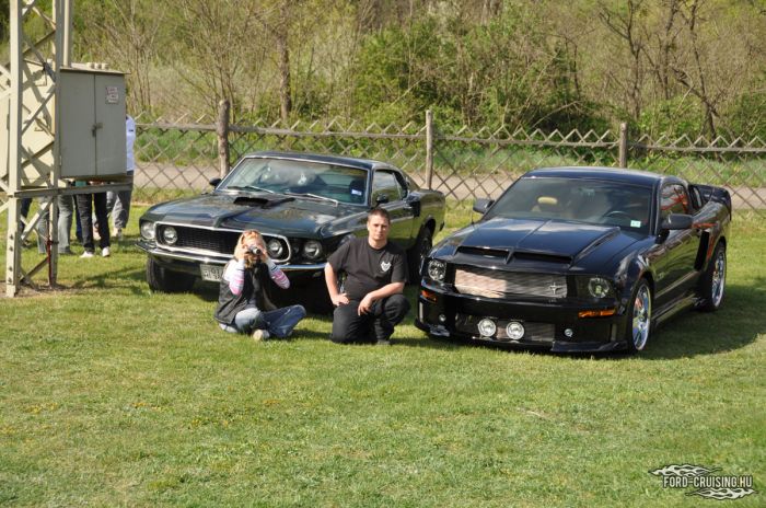 Stang0115.jpg