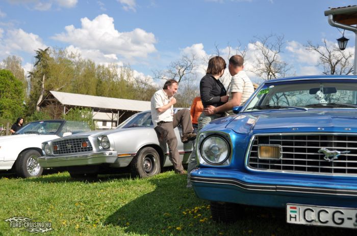 Stang0117.jpg