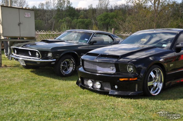 Stang0126.jpg