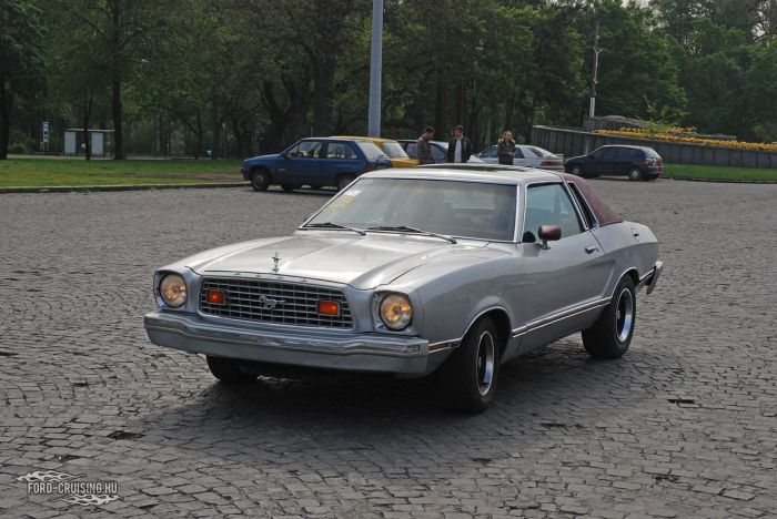 Stang0148.JPG