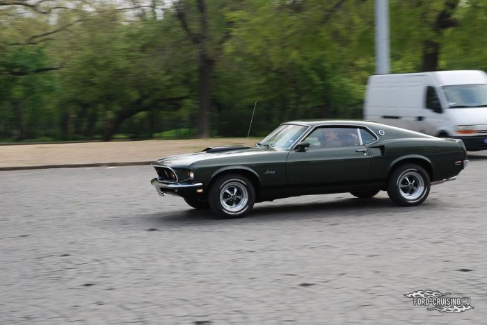 Stang0156.JPG