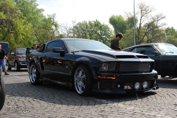 Stang0161.JPG