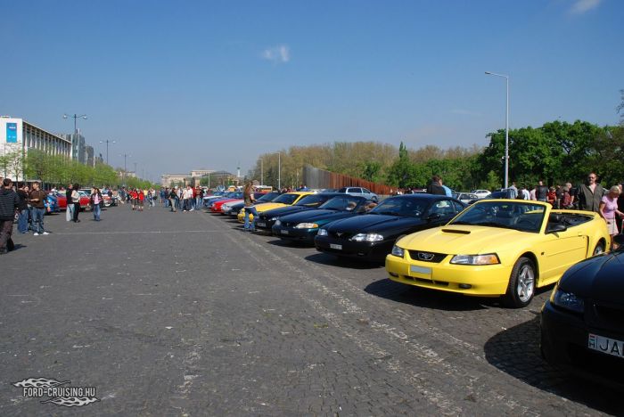 Stang0166.JPG