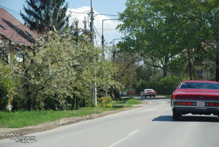 Stang0169.JPG