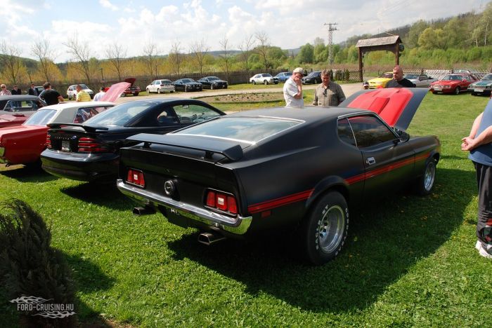 Stang0182.JPG