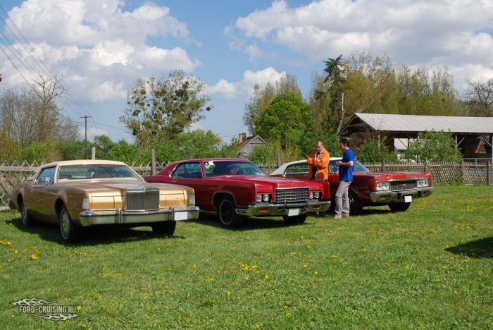 Stang0185.JPG