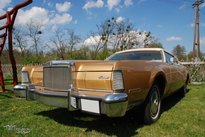 Stang0186.JPG