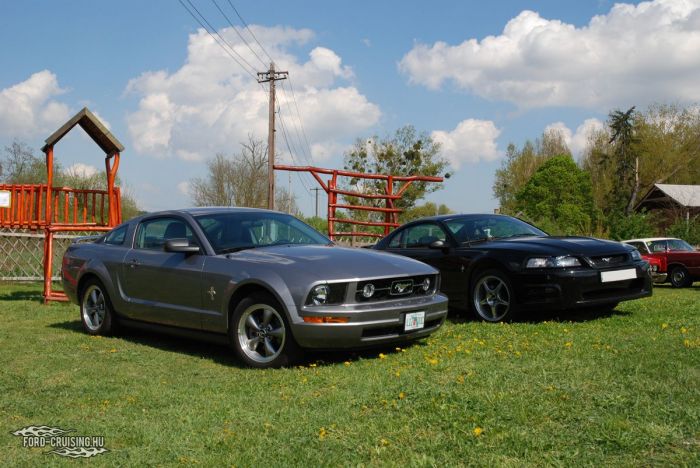 Stang0187.JPG