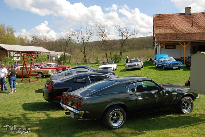 Stang0189.JPG