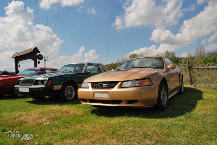 Stang0191.JPG
