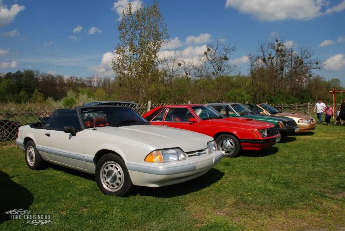 Stang0193.JPG