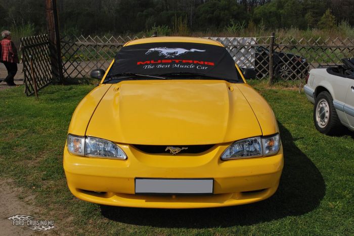 Stang0194.JPG