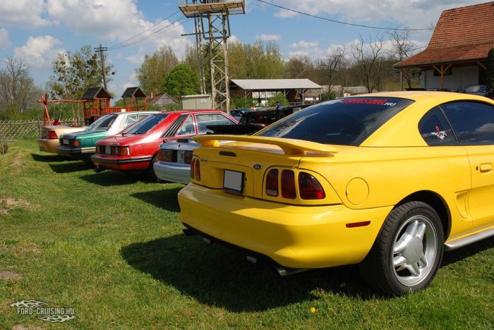 Stang0195.JPG