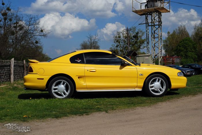 Stang0196.JPG