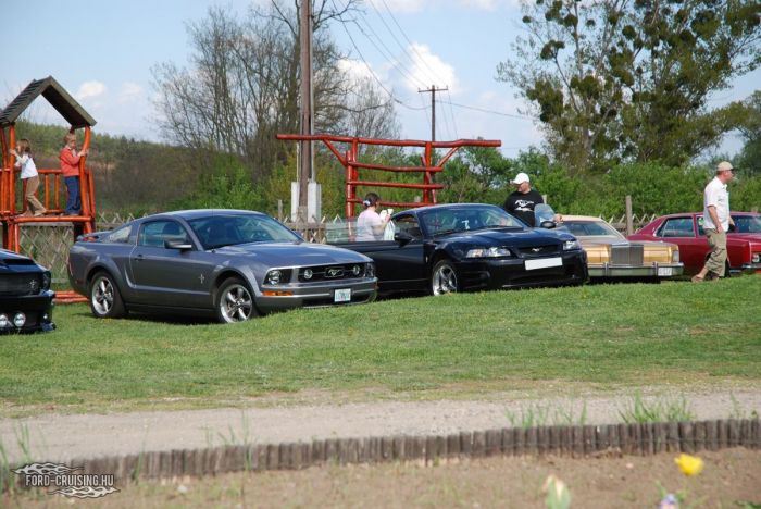 Stang0209.JPG