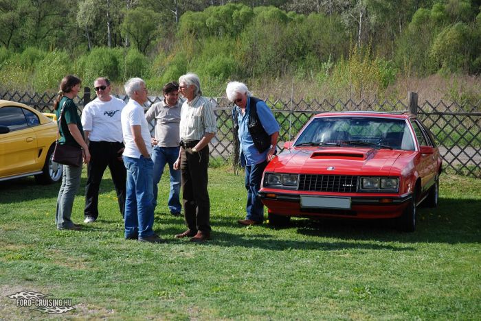 Stang0214.JPG