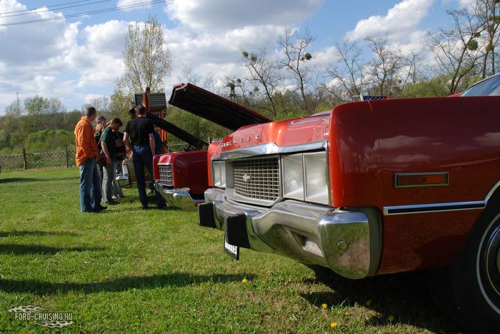 Stang0215.JPG