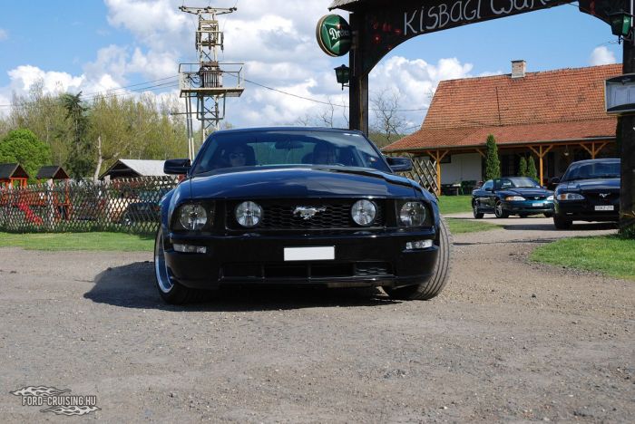 Stang0217.JPG