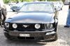 Stang0001.jpg