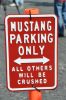 Stang0010.jpg