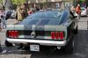 Stang0011.jpg