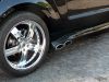 Stang0013.jpg