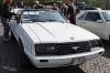Stang0018.jpg
